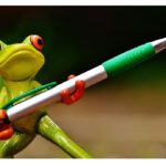 frog-armed-pen-to-defend-bill